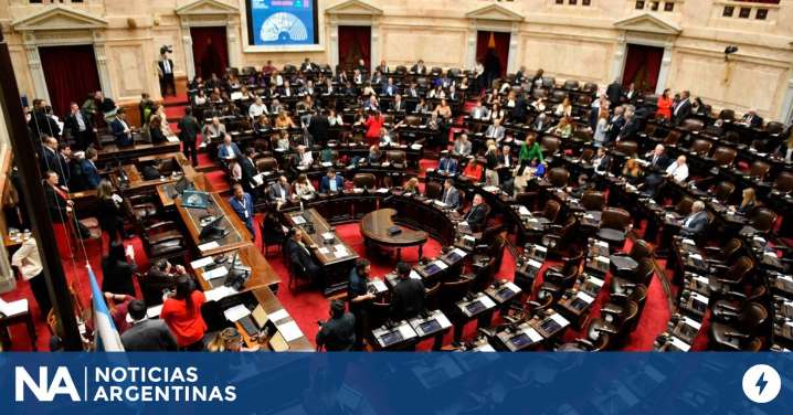 Diputados debate el rechazo a los vetos de Garrahan y Universidades