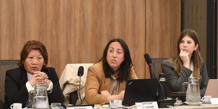 Defensor del Niño: el PJ y la UCR impusieron una terna gracias a una diputada que fue candidata libertaria