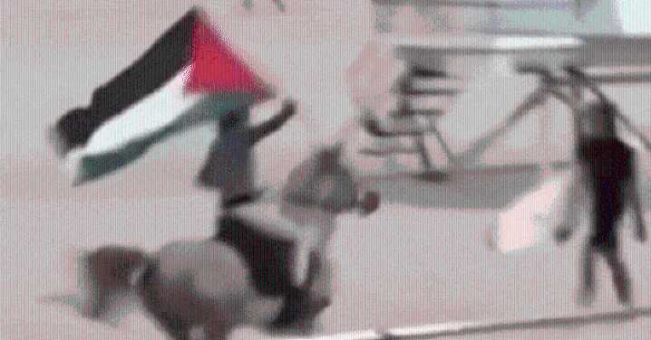 Bondi Beach: Man seen on video riding on horse with Palestinian flag on Sydney landmark
