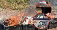 Explosivos, equipo táctico y bodega criminal: Fuerzas federales desmantelan dos puntos clave del crimen organizado en Sinaloa