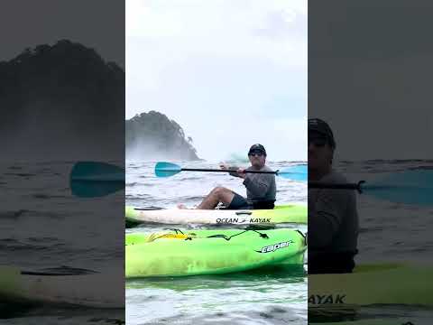 Breaching whales awe kayakers