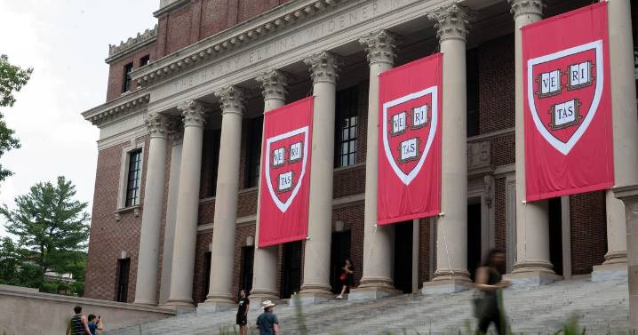 Judge rules Trump administration's funding freeze against Harvard was unlawful