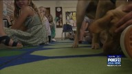 Great Lakes Elementary Adds Puppy Staff Member