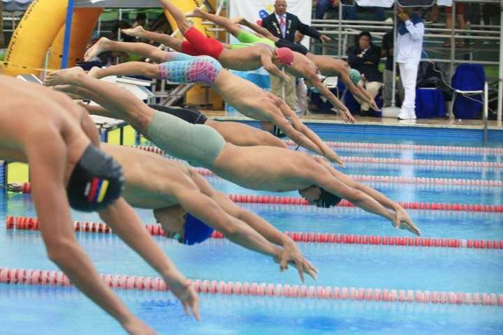 Natación juvenil venezolana cumplió en el Campeonato Suramericano