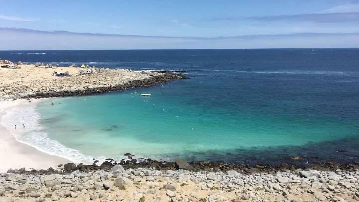 El "Caribe chileno": la playa virgen de aguas turquesas y arena blanca