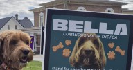 Blessing of the Animals to take place Saturday