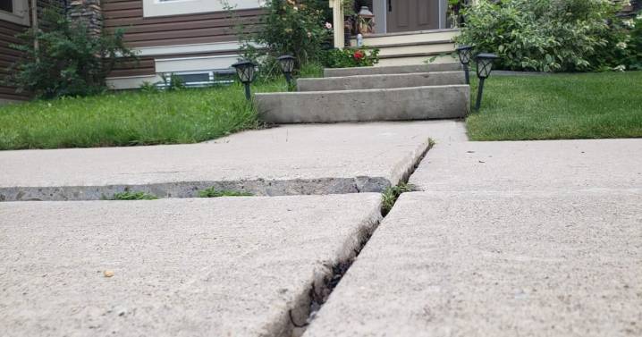 Calgary woman injured after tripping on uneven sidewalk