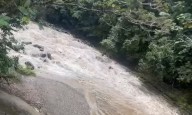 Rescatan a tres personas y a su perro en río de Adjuntas