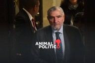 "Me concentré en la ganadería", dice Adán Augusto sobre sus ingresos ante polémica por su patrimonio
