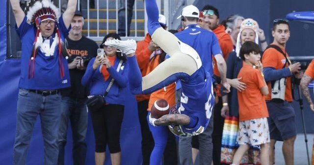 Winnipeg Blue Bombers tame Hamilton Tiger