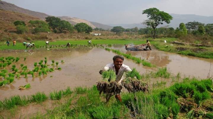 Resilient countryside
