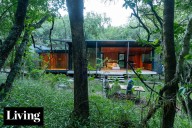Parte del bosque. Una pareja construyó su "hogar definitivo" en las Sierras Chicas de Córdoba