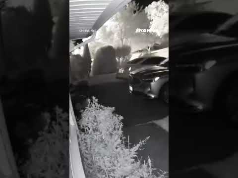 A massive house explosion sparked a fire, destroying the home #shorts #viral #usa #us