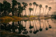 Florida State Parks wants you to help judge photo contest