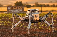 Avanza IA ahora en el campo: robot sembrará maíz; será creado por la UAAAN