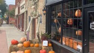 Bone thief returns skeleton arm to Monroe coffee house