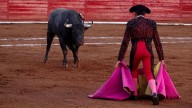 Seres sintientes: un deber de justicia y compasión