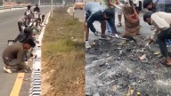 Nepal: Jóvenes limpiaron las calles tras las masivas protestas contra el gobierno (VIDEO)