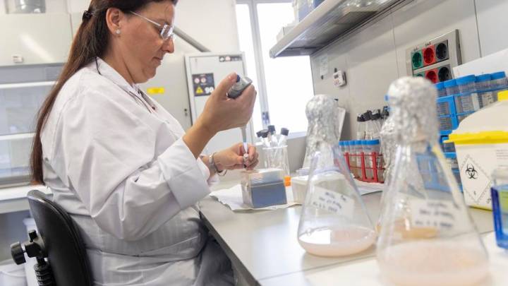 La UA busca mecenas para sus proyectos de investigación