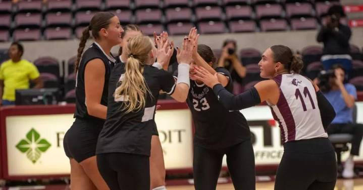 SIU spikers salvage day with sweep of Kansas CIty