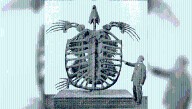 At 4.6 Meters Long, Archelon Was The Largest Turtle Ever Known To Have Lived