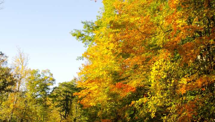 Will St. Clair County’s weekend weather feel like fall?