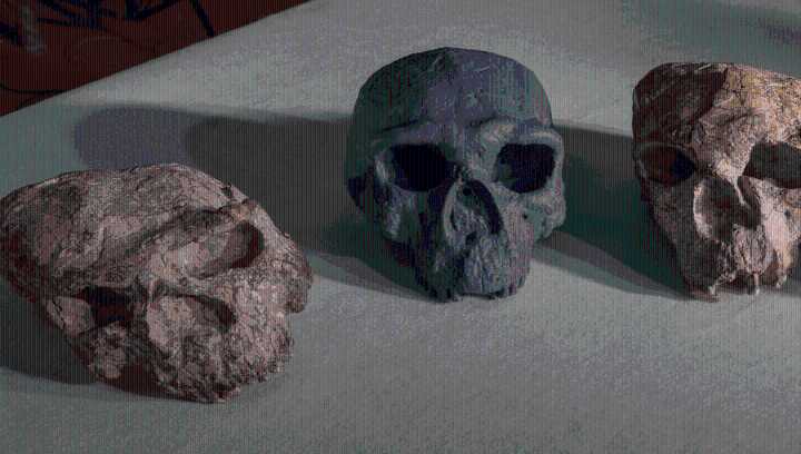 Million-Year-Old Skull Reveals Homo Sapiens Are Nearly Twice As Old As We Thought