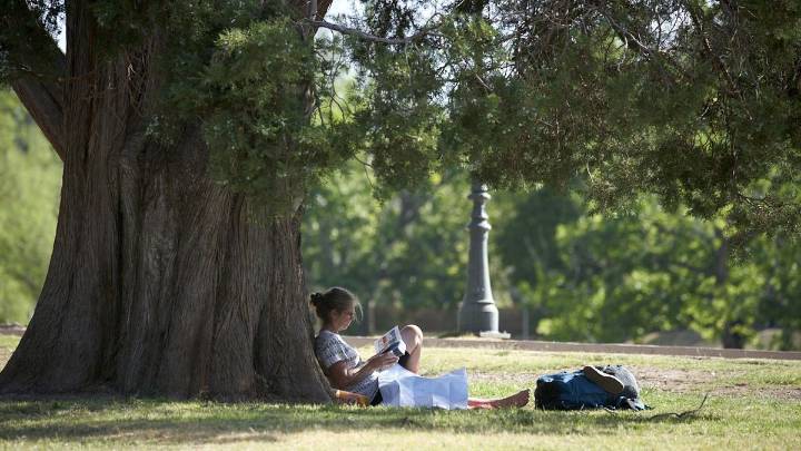 El pronóstico del tiempo alertó por viento Zonda en algunos lugares de Mendoza