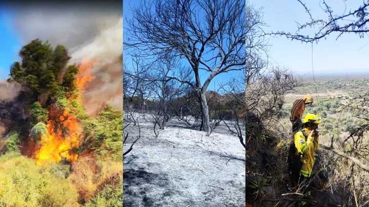 Grave incendio en Astica obligó a evacuar a vecinos de la zona por prevención