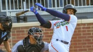 Hub City Spartanburgers baseball in SAL championship series