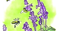 Human Condition: Let's go beyond the garden to improve relationships, a city, a nation