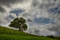 Chances for Bay Area rain this week, as a winter weather pattern arrives early