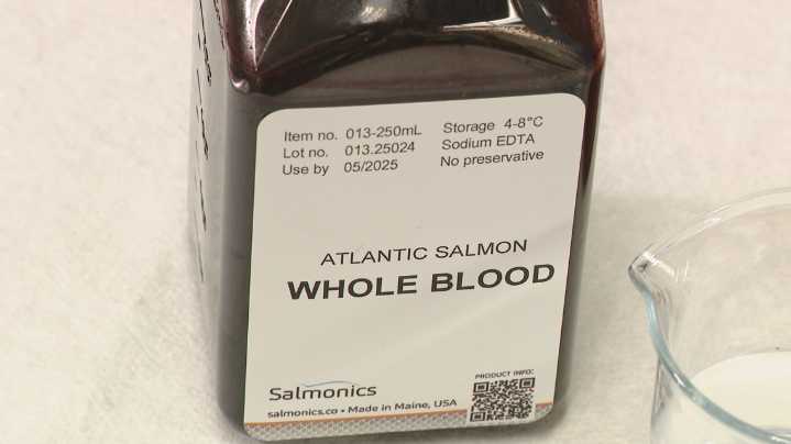Brunswick startup transforms salmon waste into biomedical products