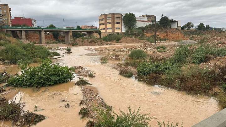 Amparo Folgado, alcaldesa de Torrent: “La prevención y la coordinación han sido la clave"