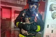 Bomberos de Playa del Carmen rescataron a un gato de un incendio en Misión de las Flores