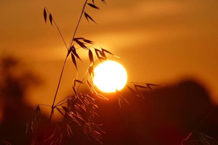 Summer 2025 was UK’s warmest on record