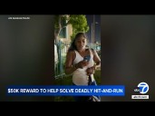 Bystander confronts hit-and-run driver after 100mph crash