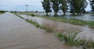 Inundaciones en los campos de 9 de Julio: "El 60 por ciento está tapado de agua"