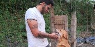 Fundación organizó voluntariado para ayudar a perros y nadie llegó: “Por favor respeten a los seres que los esperan ansiosamente”