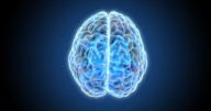 UniQure Gene Therapy’s Clinical Trial Results Keep It on Path to Become First Huntington’s Treatment