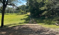 81-year-old’s muscle, scalp ‘viciously and violently torn’ from body in Bibb County dog attack