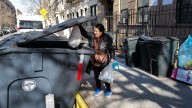 Barrio de Brooklyn será el próximo en combatir las ratas
