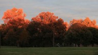 11 places, parks to see fall leaves, colors around Louisville