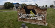 FBI incinerating meth forces closure of Billings animal shelter