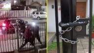 Turbazos en Ciudad de los Valles: Vecinos quieren instalar un portón para protegerse, pero el municipio lo rechaza