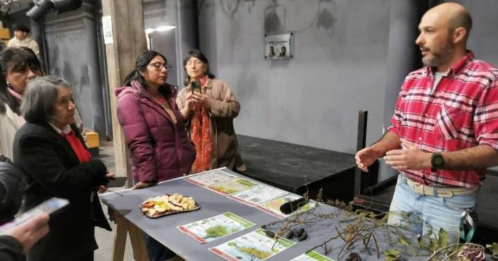 Un exitoso balance de la Semana del Árbol 2025