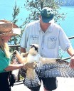Bayview residents rescue osprey