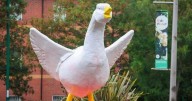 Police appeal for witnesses after St George’s Cross painted on funfair goose mascot