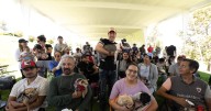 Rodrigo Monsalvo convierte a El Marqués en referente nacional en protección animal