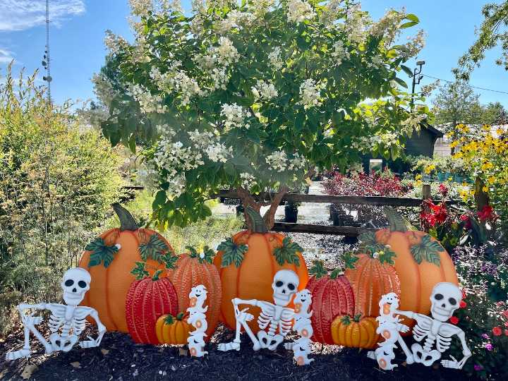 Carve out some Halloween fun at Medina County libraries